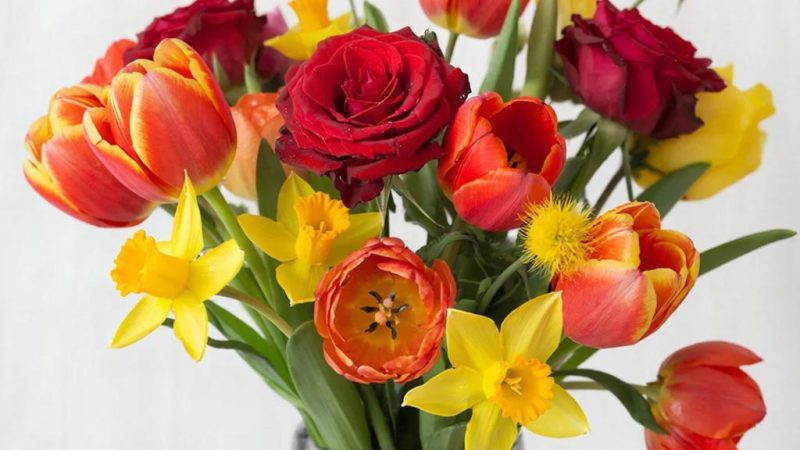 Доставка цветов Ярославль гарантирует свежесть и красоту каждому букету